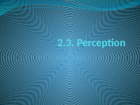 perception 13.pptx